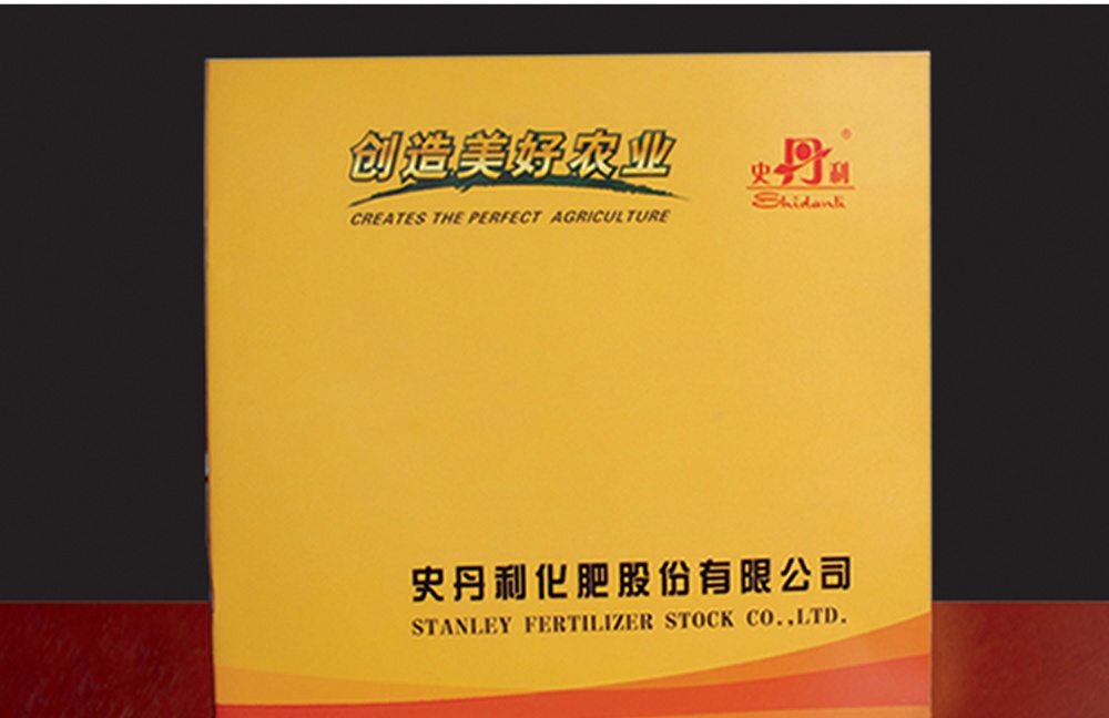 史丹利_看图王(1).jpg